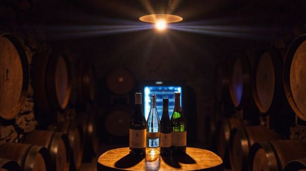 Top 5 caves à vin pour une conservation optimale de vos bouteilles